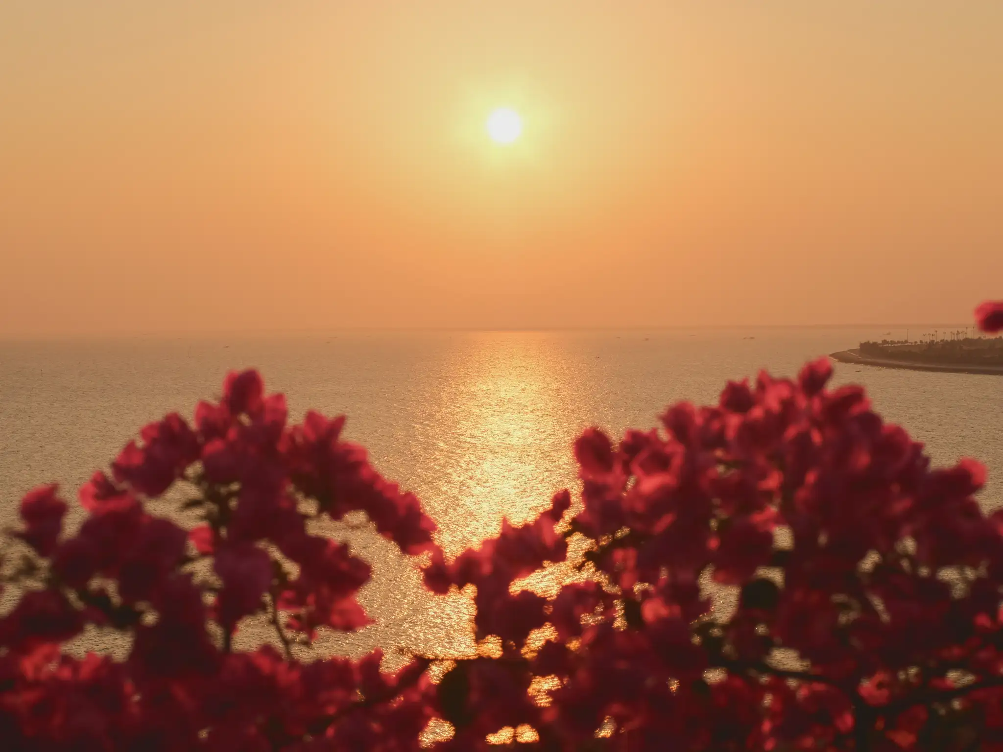 Ảnh bìa
